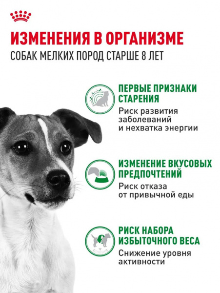 Royal Canin Mini Adult 8+ купить в ZooKorm24