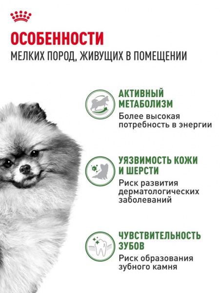 Royal Canin Mini Indoor Adult купить в ZooKorm24.ru

